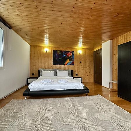 فيلا Prater House Mountain View موغيتْشي دي يوس المظهر الخارجي الصورة