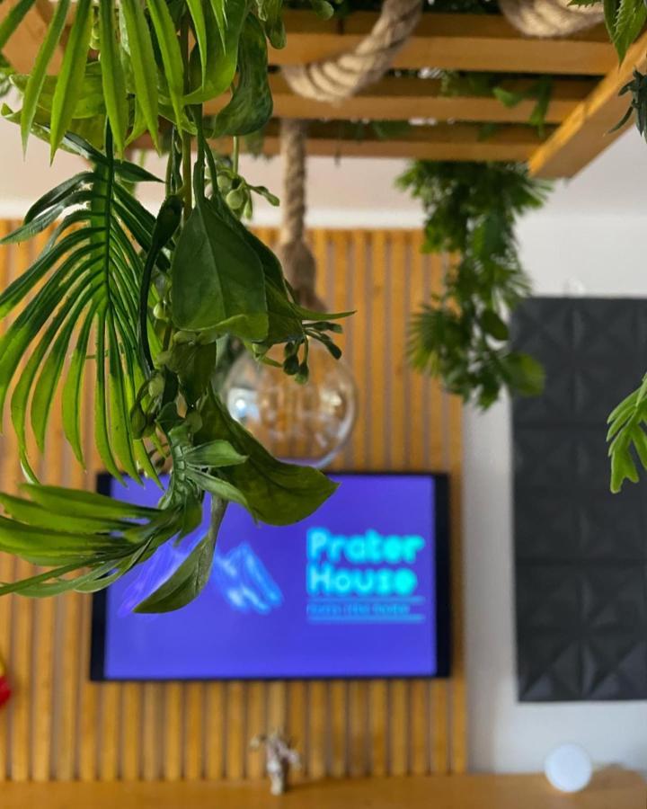 فيلا Prater House Mountain View موغيتْشي دي يوس المظهر الخارجي الصورة