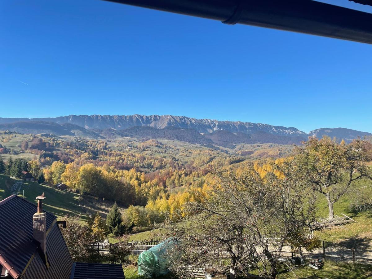فيلا Prater House Mountain View موغيتْشي دي يوس المظهر الخارجي الصورة