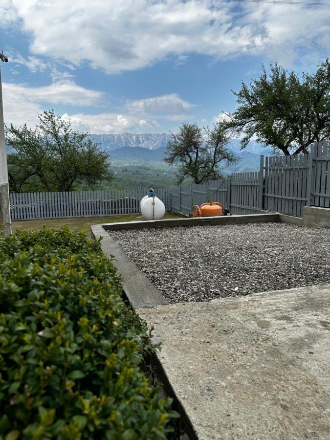 فيلا Prater House Mountain View موغيتْشي دي يوس المظهر الخارجي الصورة