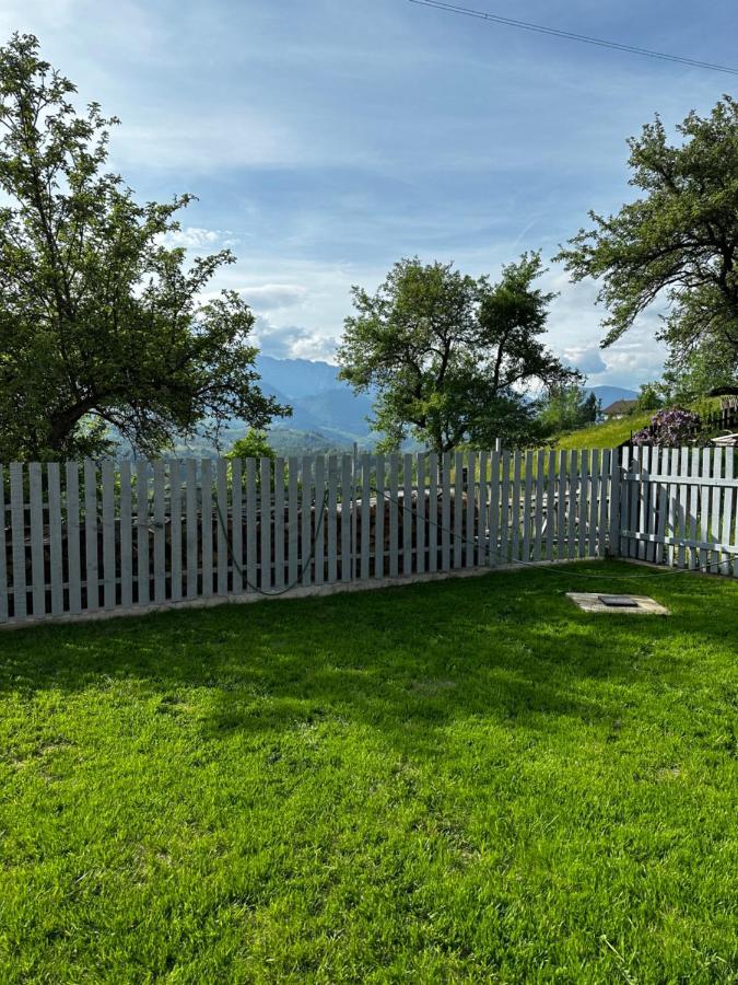 فيلا Prater House Mountain View موغيتْشي دي يوس المظهر الخارجي الصورة