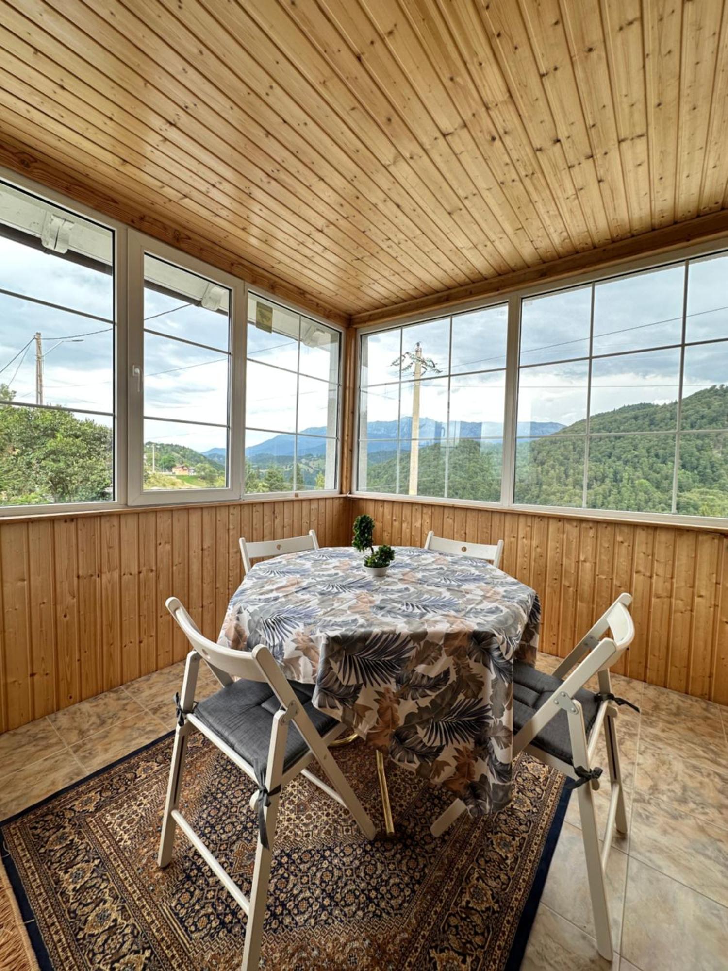 فيلا Prater House Mountain View موغيتْشي دي يوس المظهر الخارجي الصورة